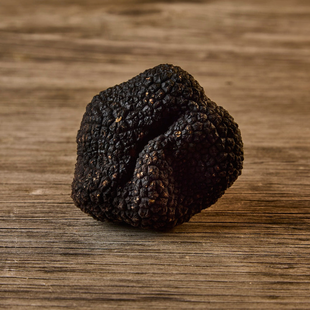 Fresh Black Winter Truffles