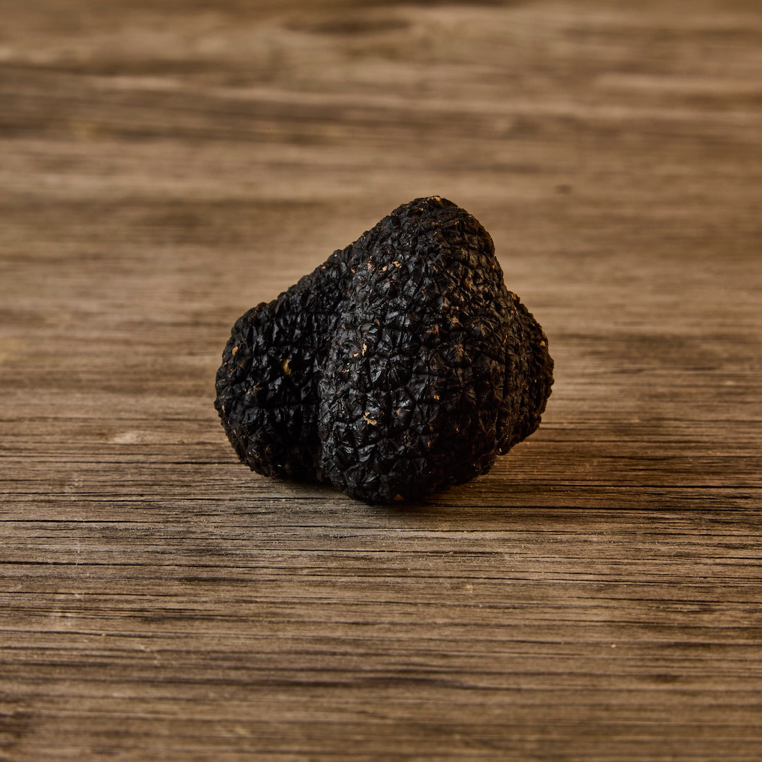Fresh Black Truffles