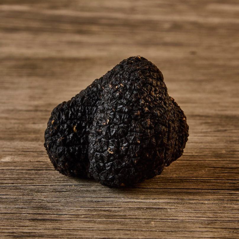Fresh Black Autumn Truffles