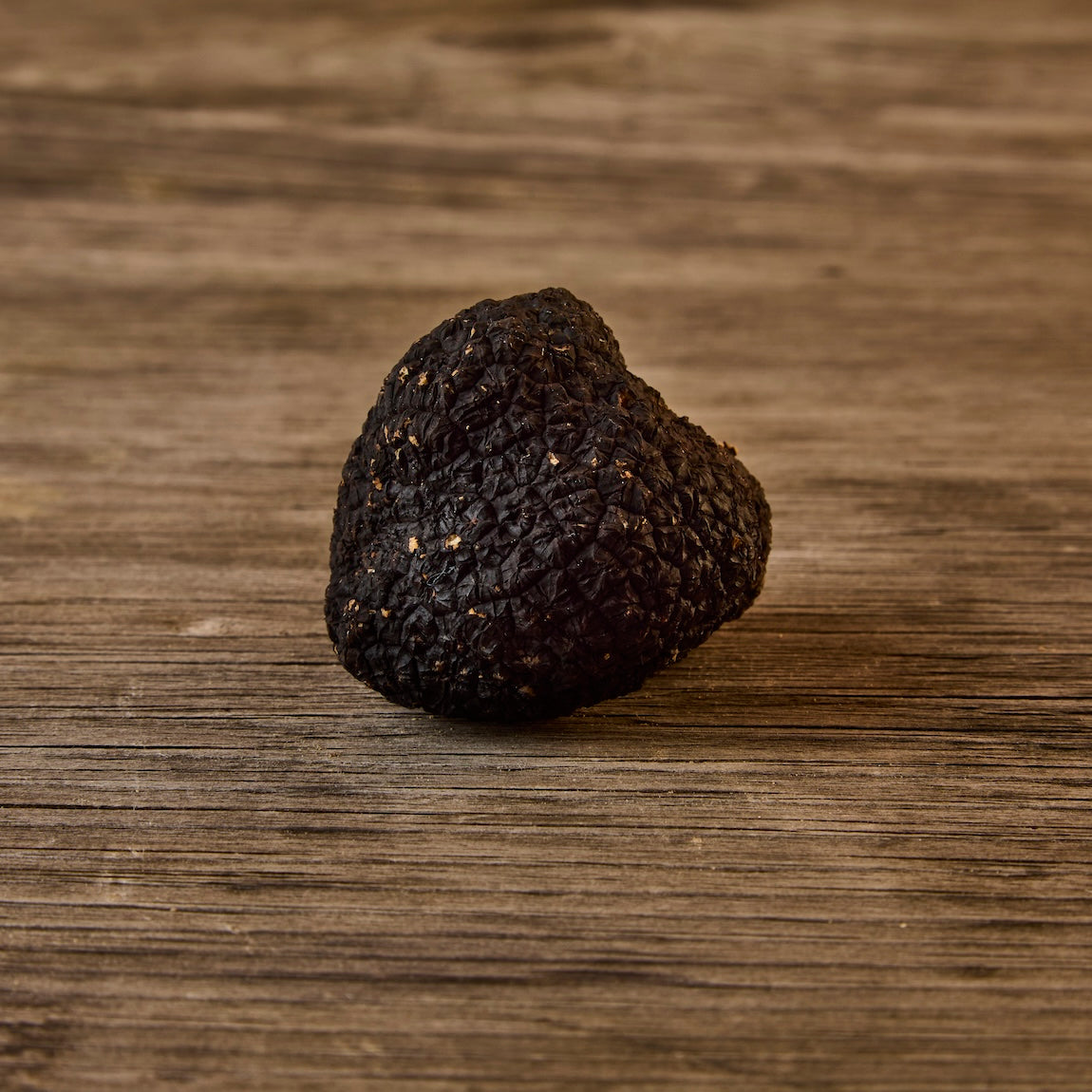 Fresh Black Truffles