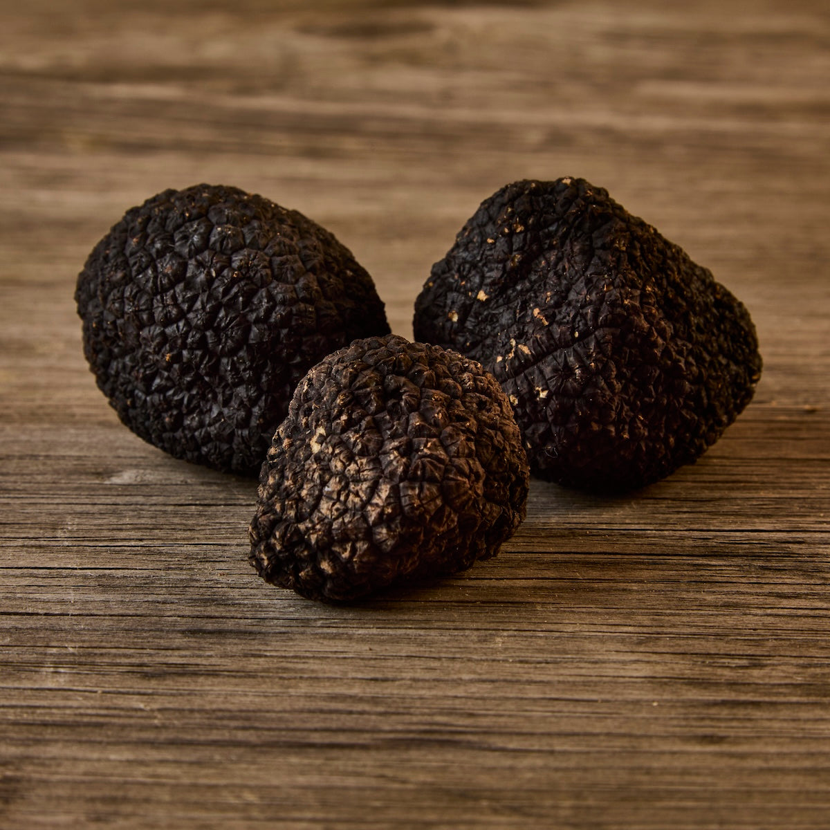 Fresh Black Autumn Truffles