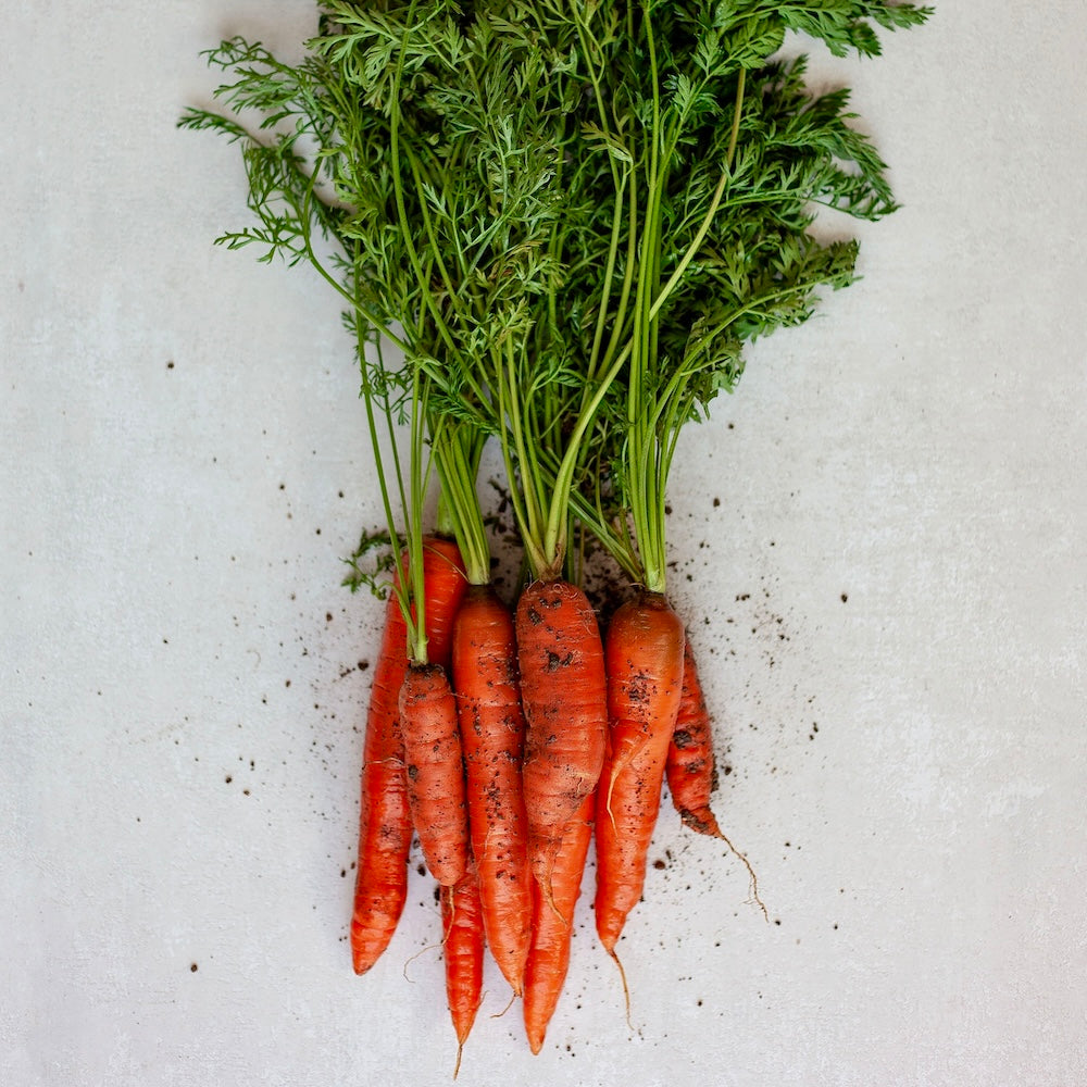 Carrot Veloute | 750ml
