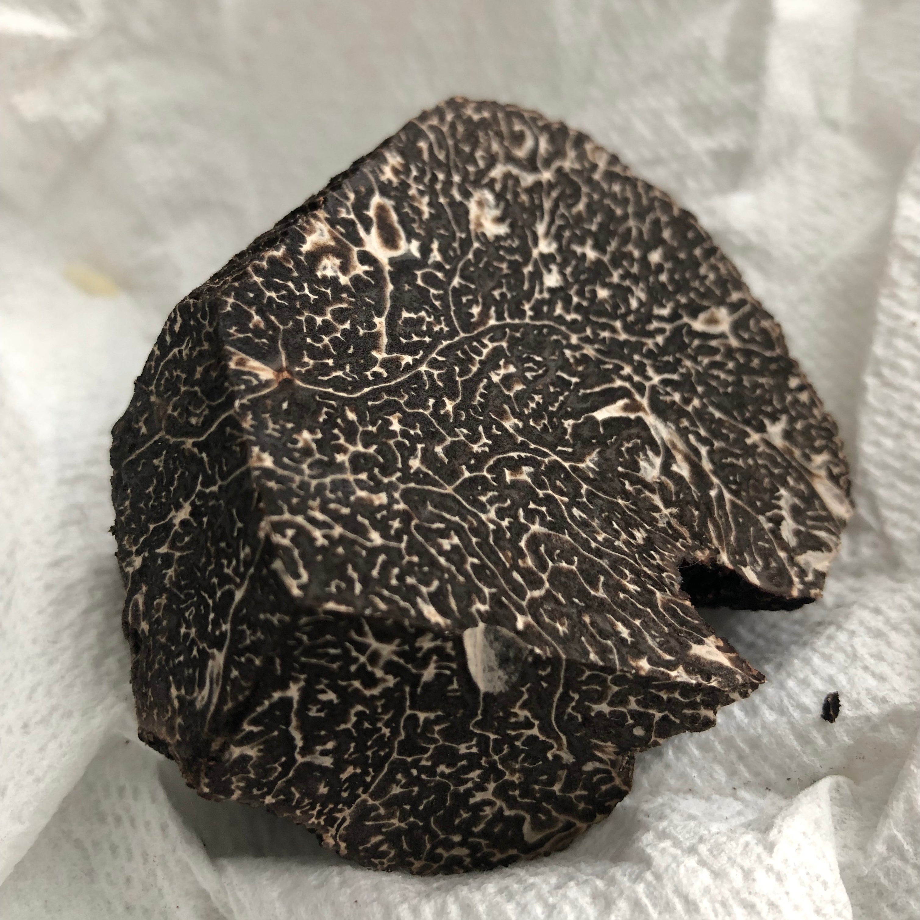 Fresh Black Winter Truffles