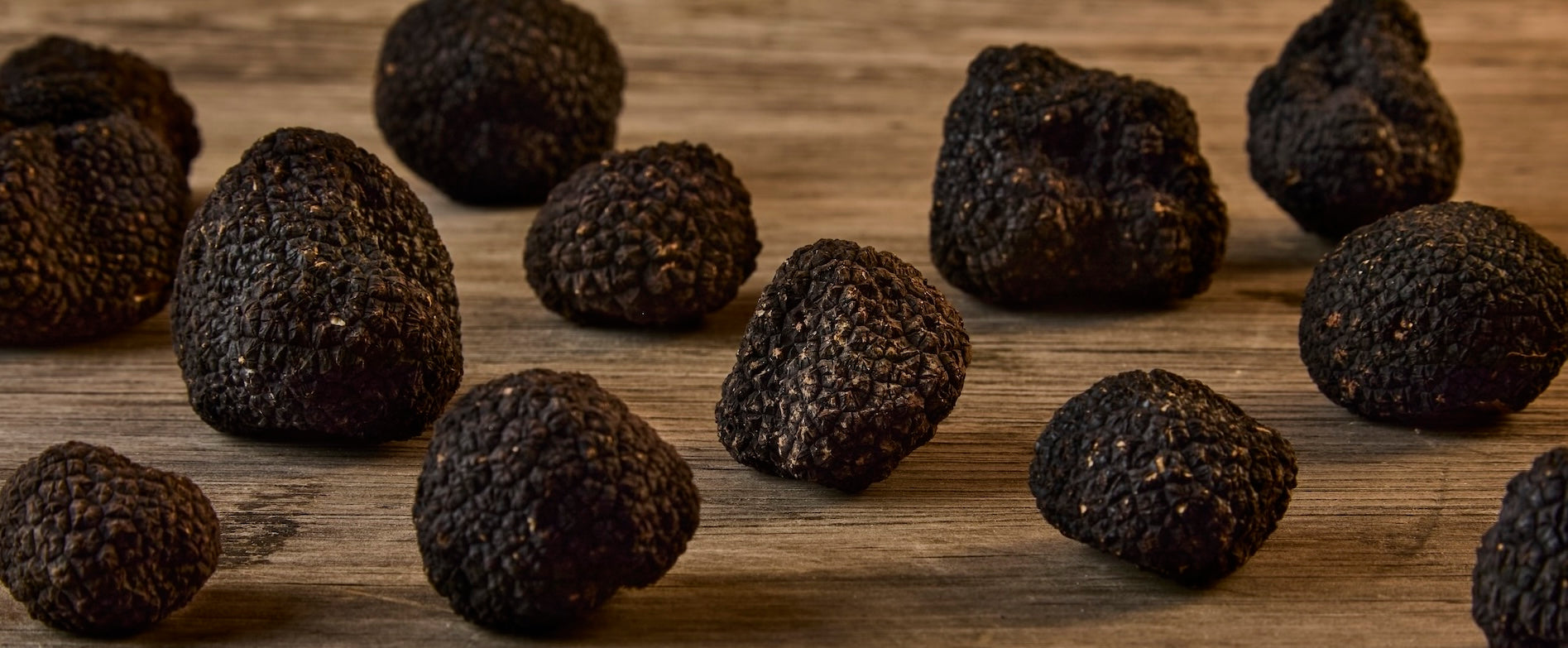 Black Truffles