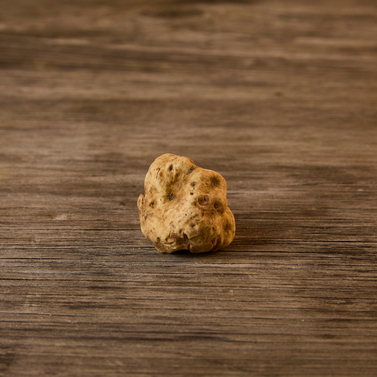 Fresh White Truffles