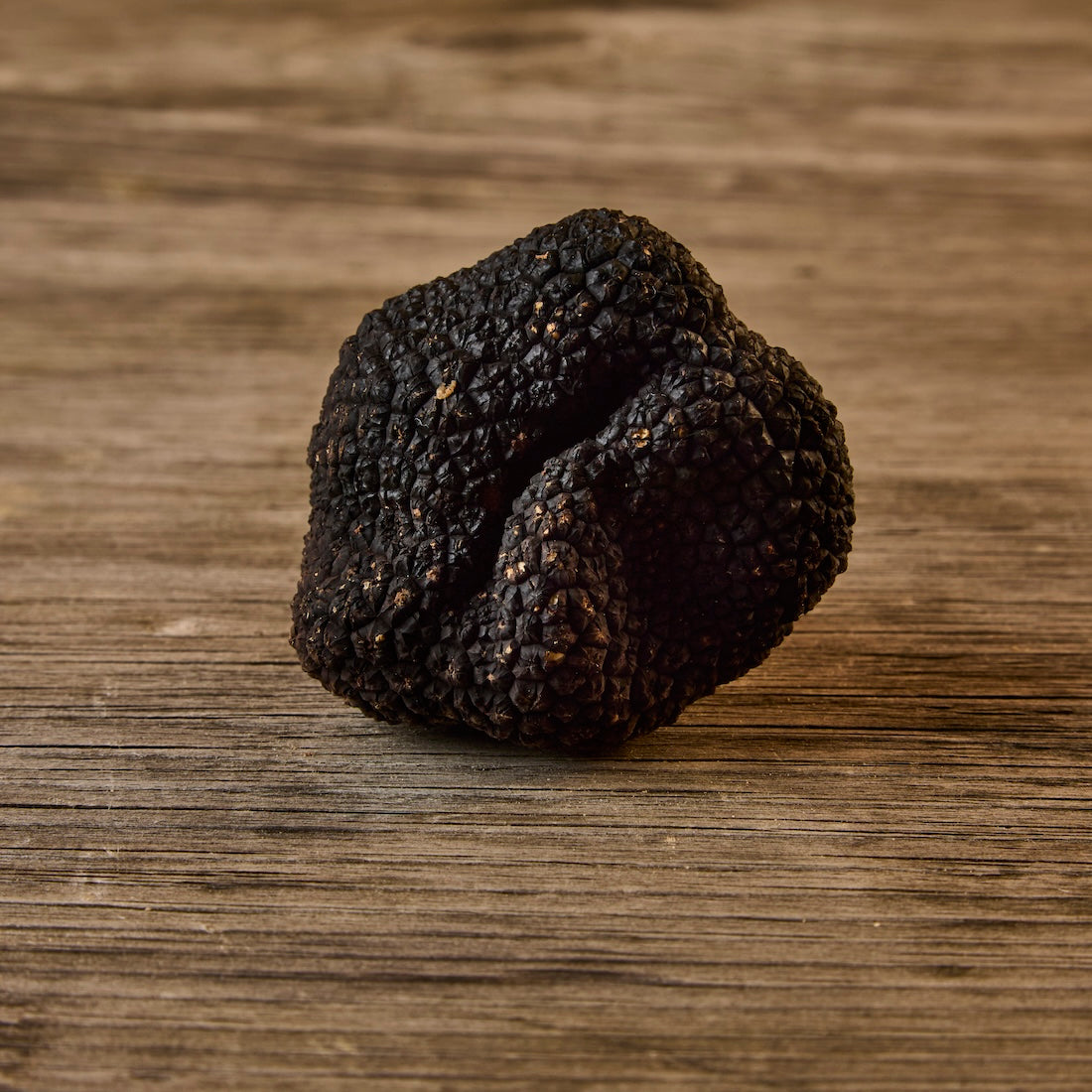 Fresh Black Truffles
