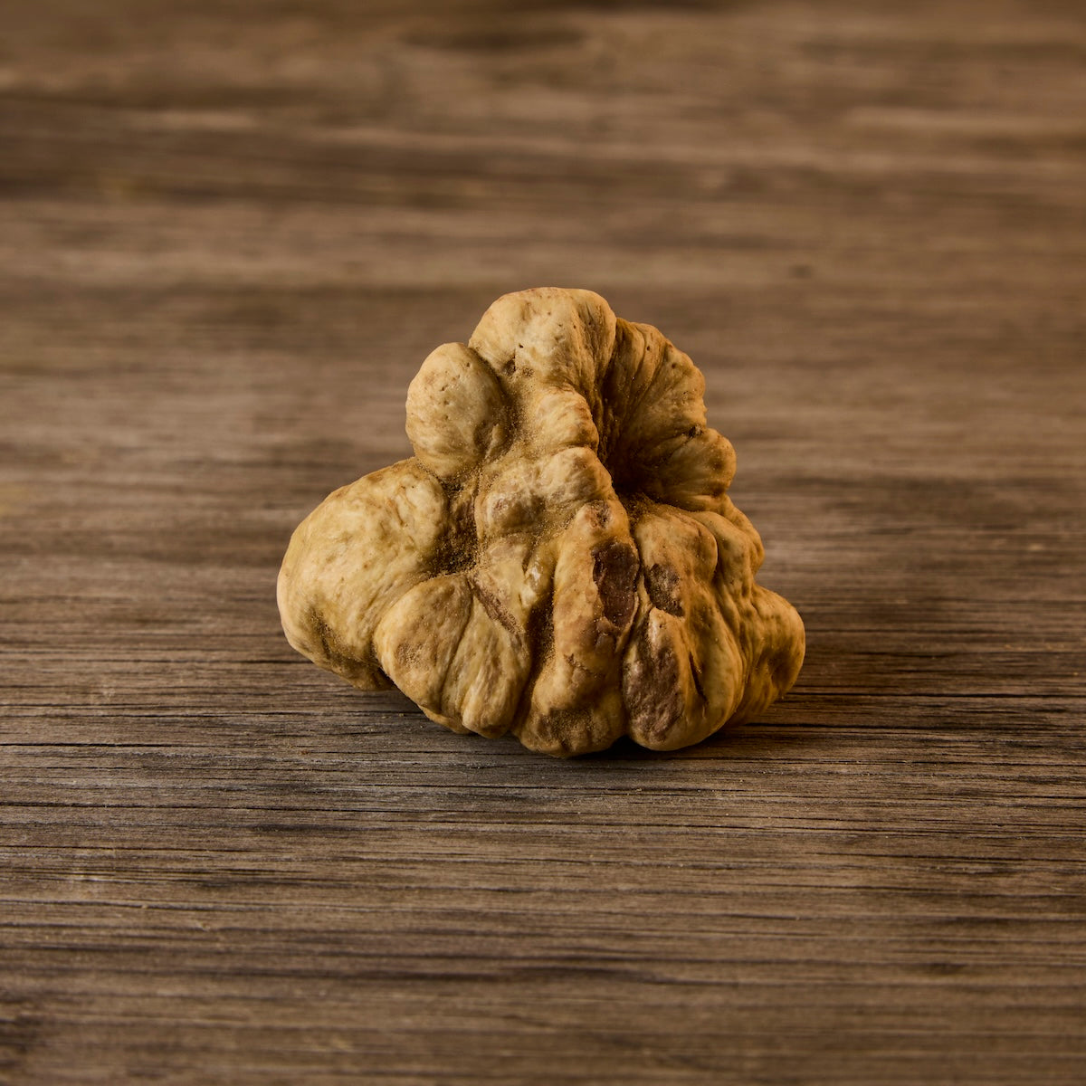 Fresh White Truffles