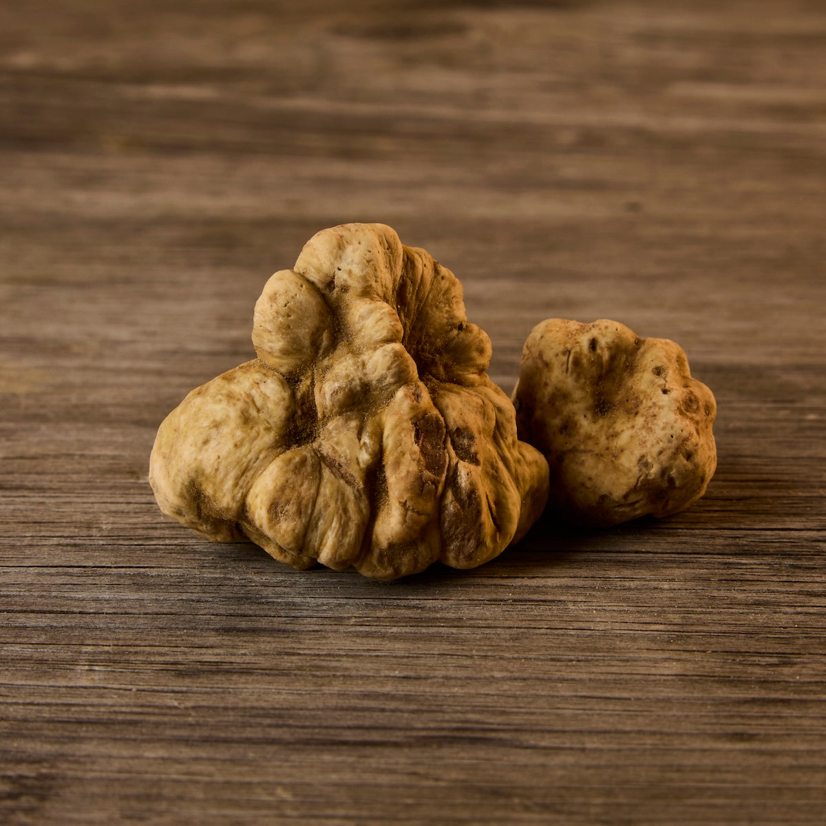 Fresh White Truffles