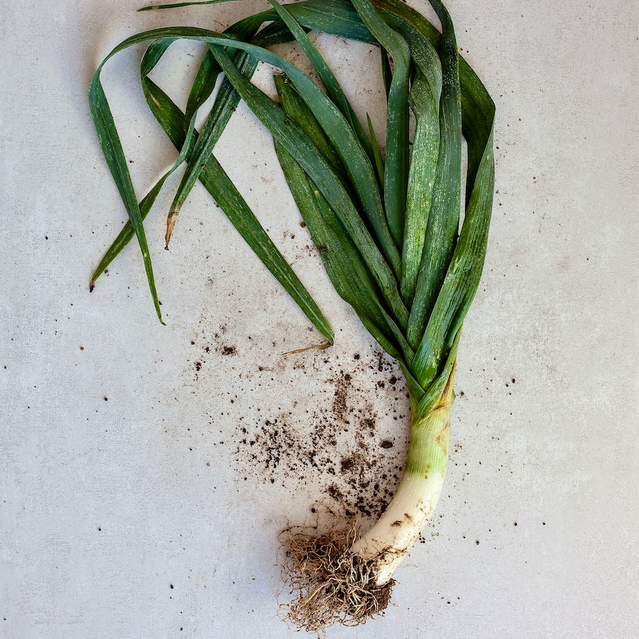 Leek Velouté | 750ml