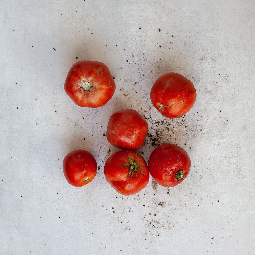 Tomato Velouté | 750ml